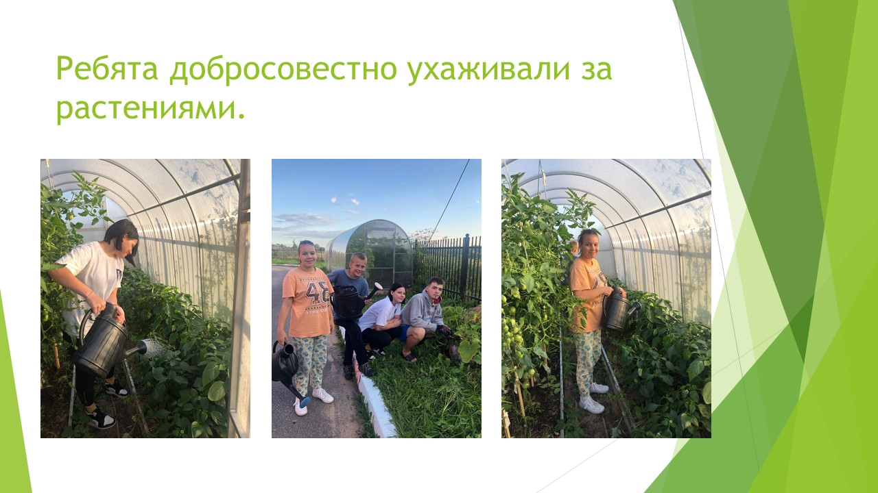 Что посеешь, то и пожнёшь