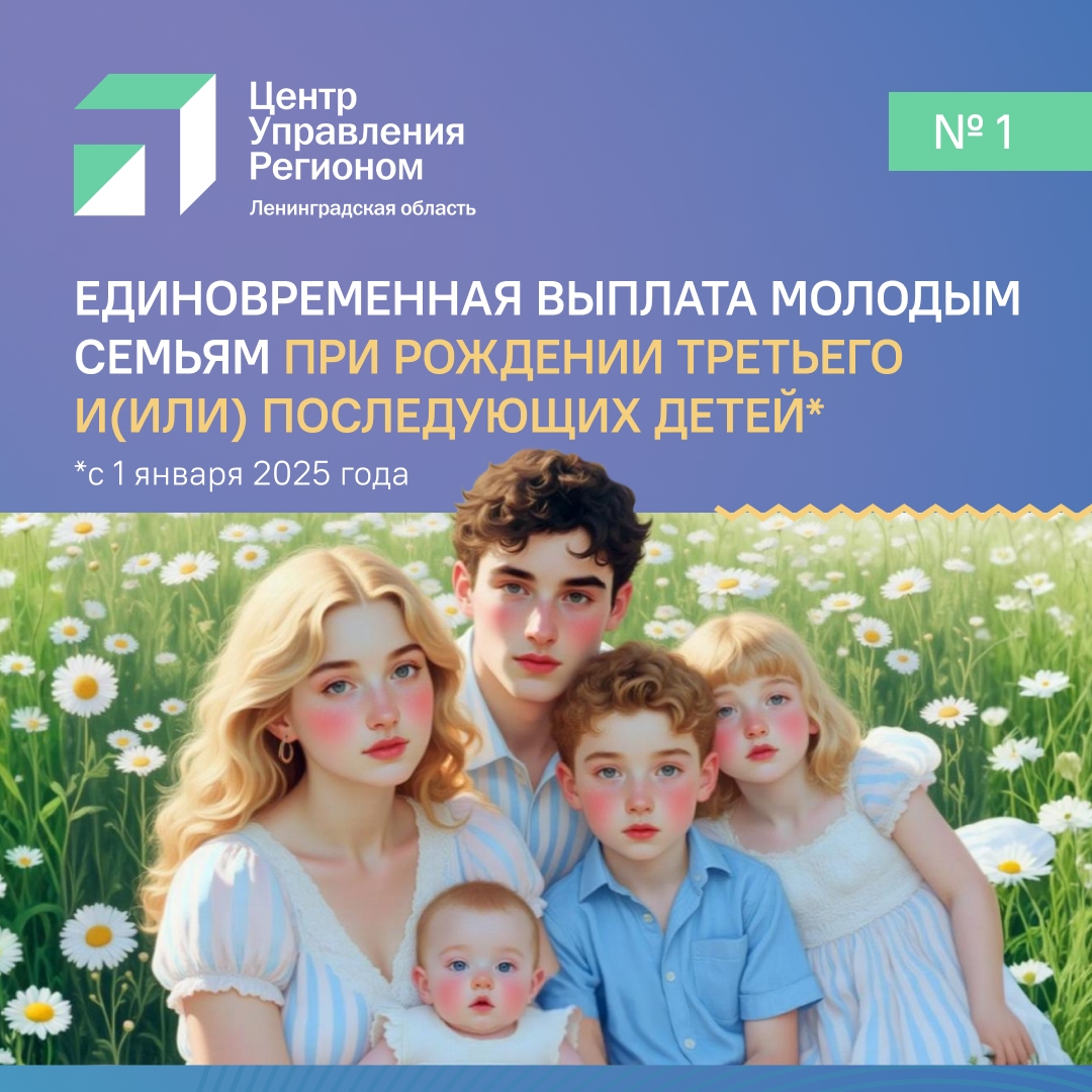 В Ленинградской области действуют меры социальной поддержки семей — как федеральные, так и региональные. 