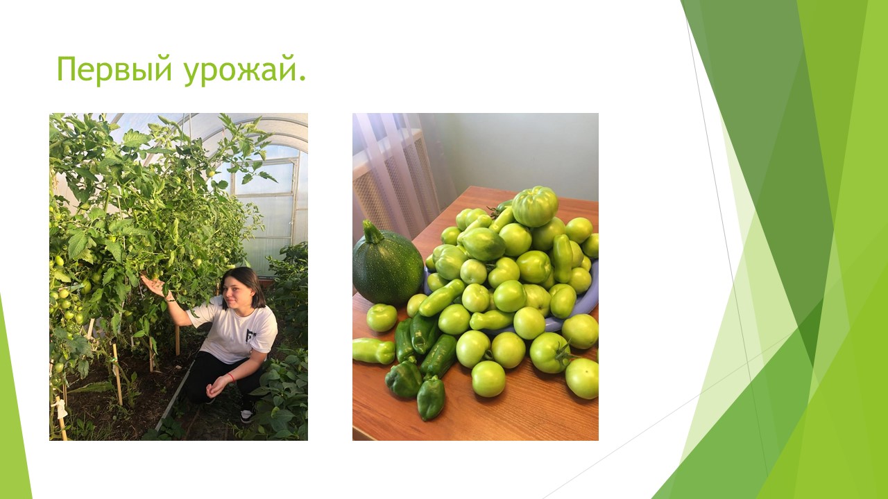 Что посеешь, то и пожнёшь