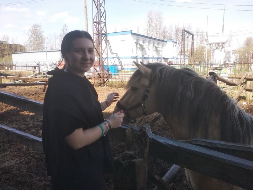 Полезные выходные стажировочной квартиры - поездка в конный клуб. 