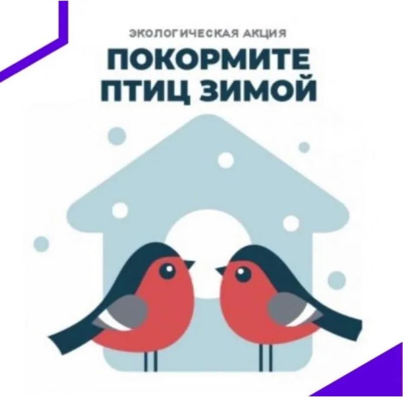  Покормите птиц зимой вместе с фермой Терем-Ок!