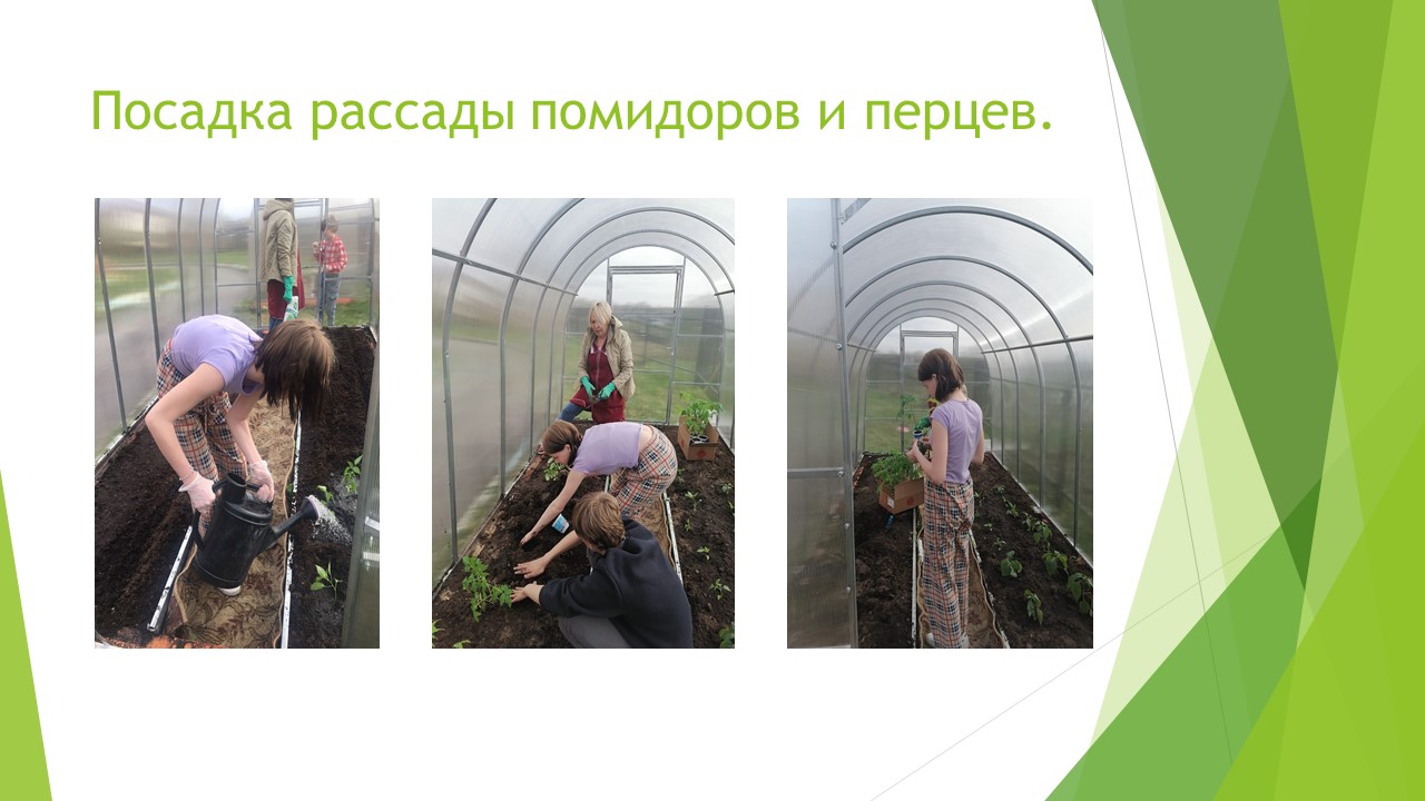 Что посеешь, то и пожнёшь