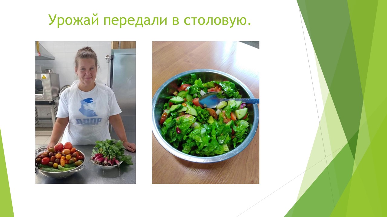 Что посеешь, то и пожнёшь