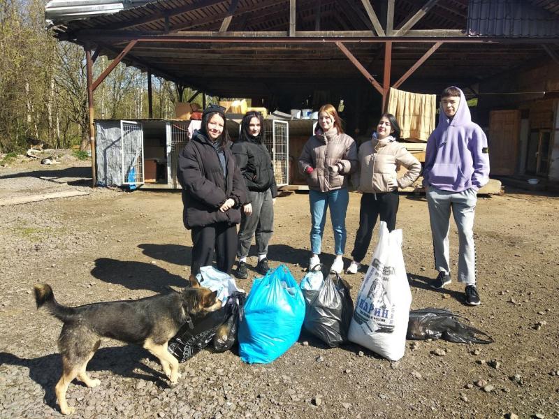 Ребята из стажировочной квартиры посетили приют для собак РОО "Подари дом".