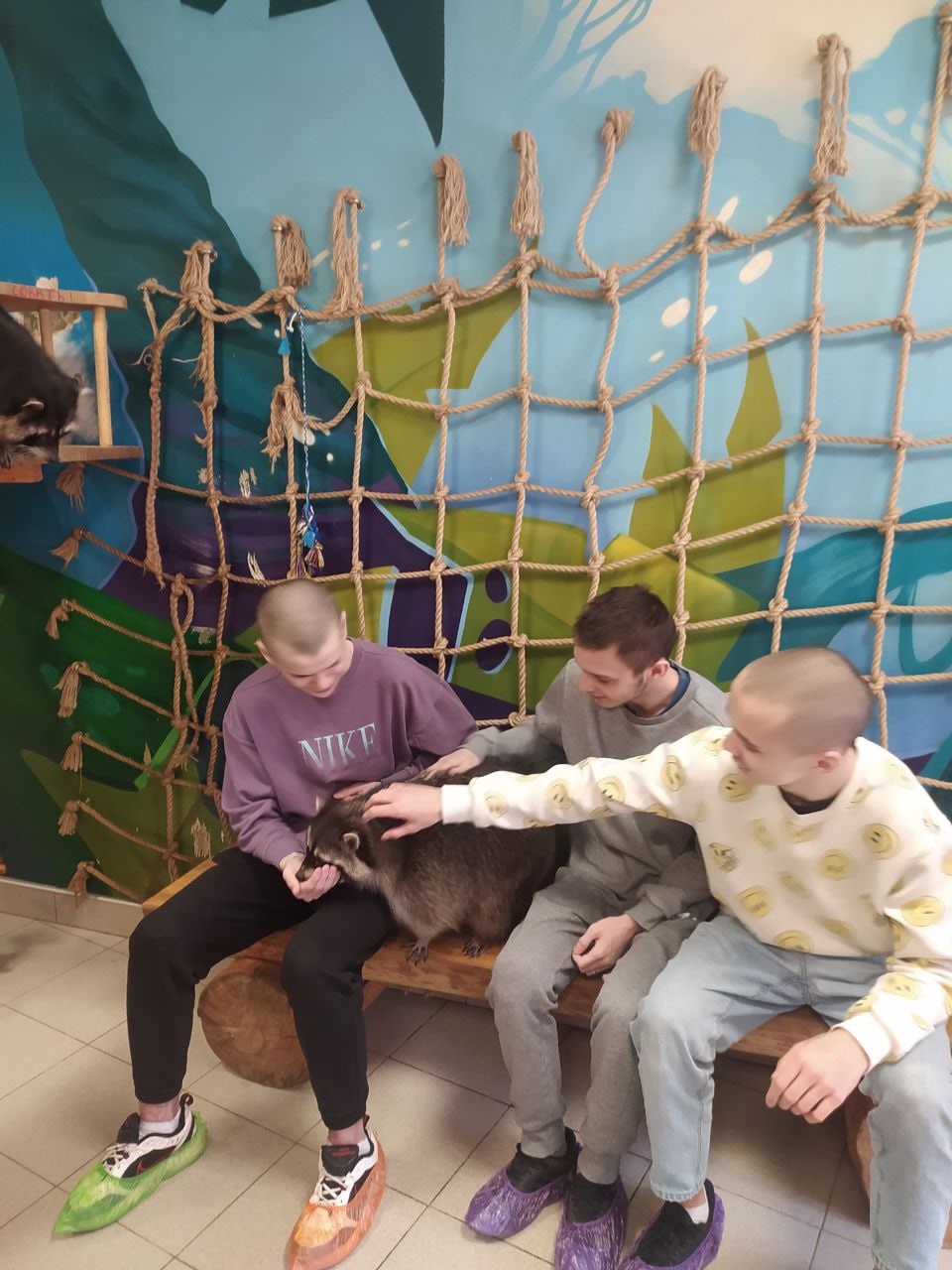 Поедка в "Енотовиль"