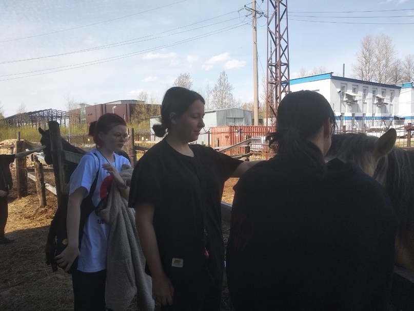 Полезные выходные стажировочной квартиры - поездка в конный клуб. 
