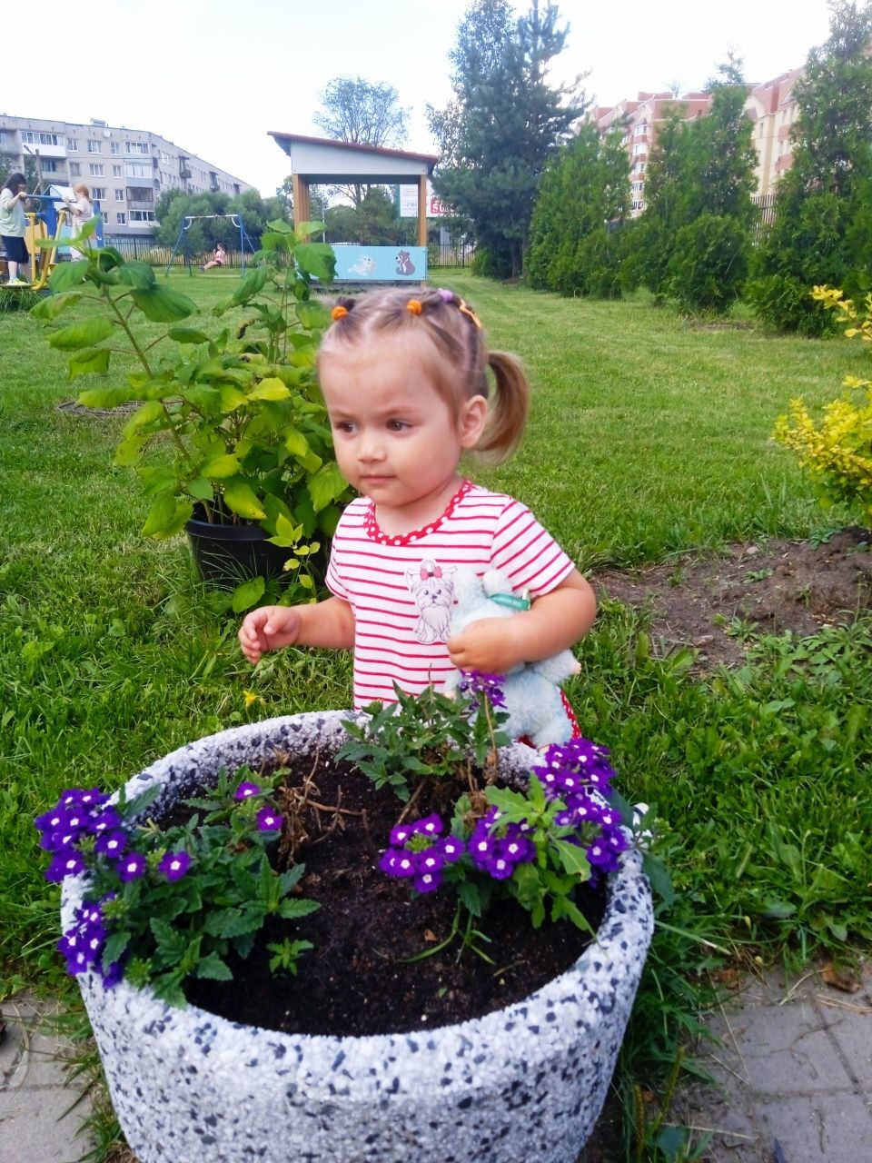 Как же здорово, когда на улице лето!