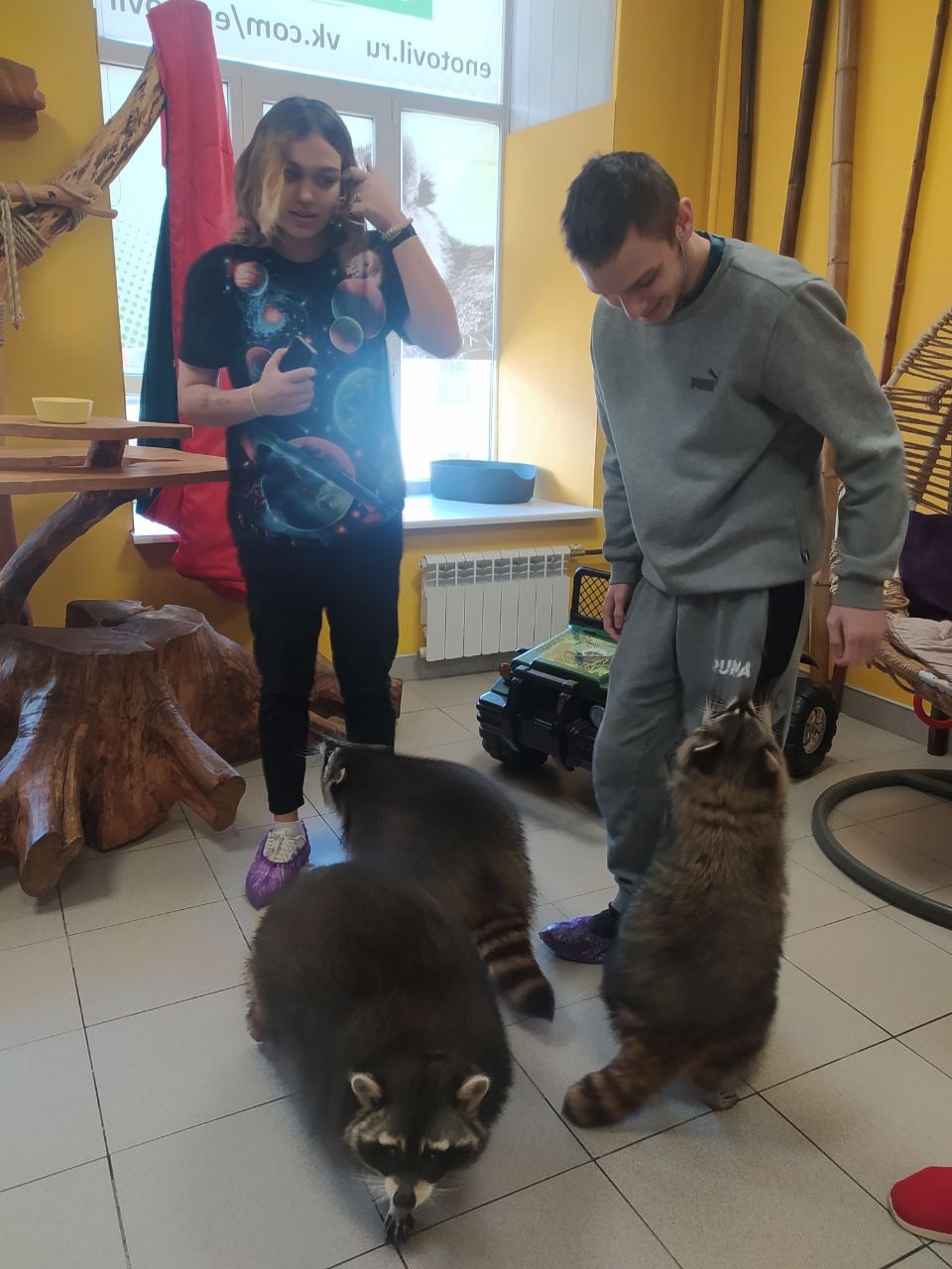 Поедка в "Енотовиль"