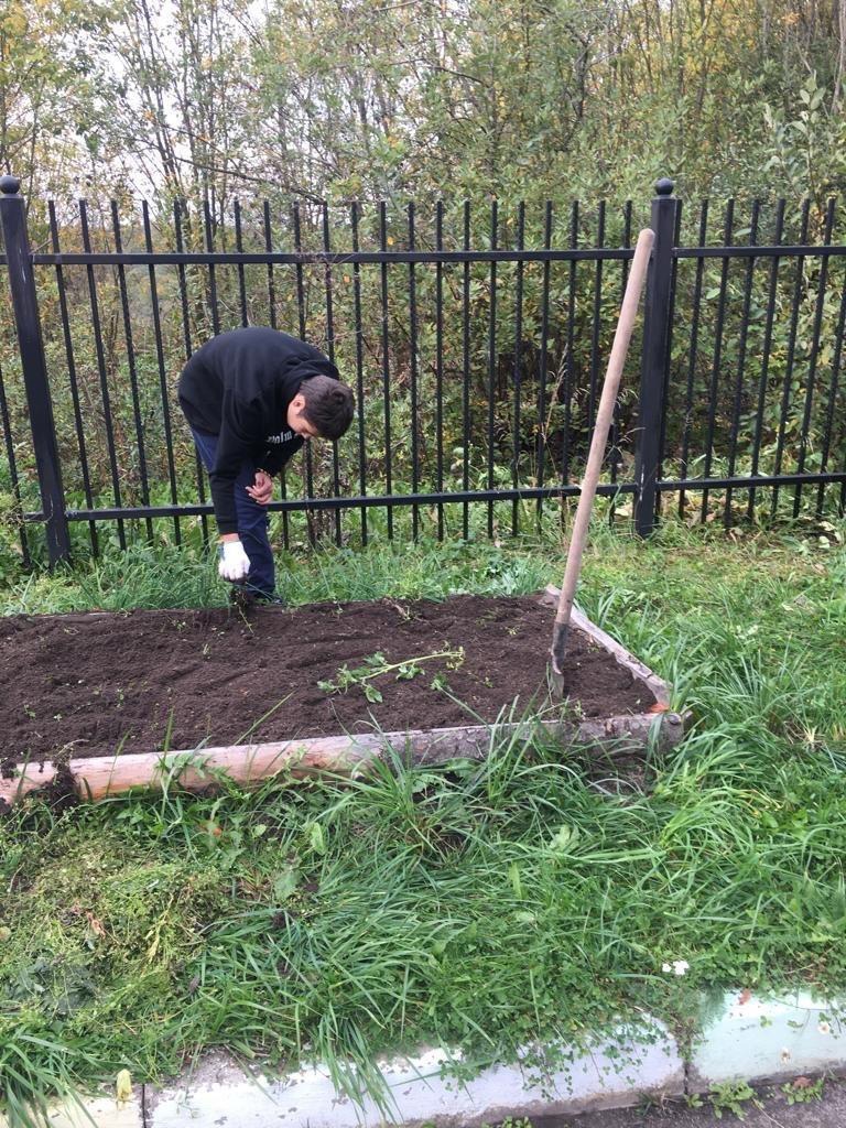 Неделя добрых дел