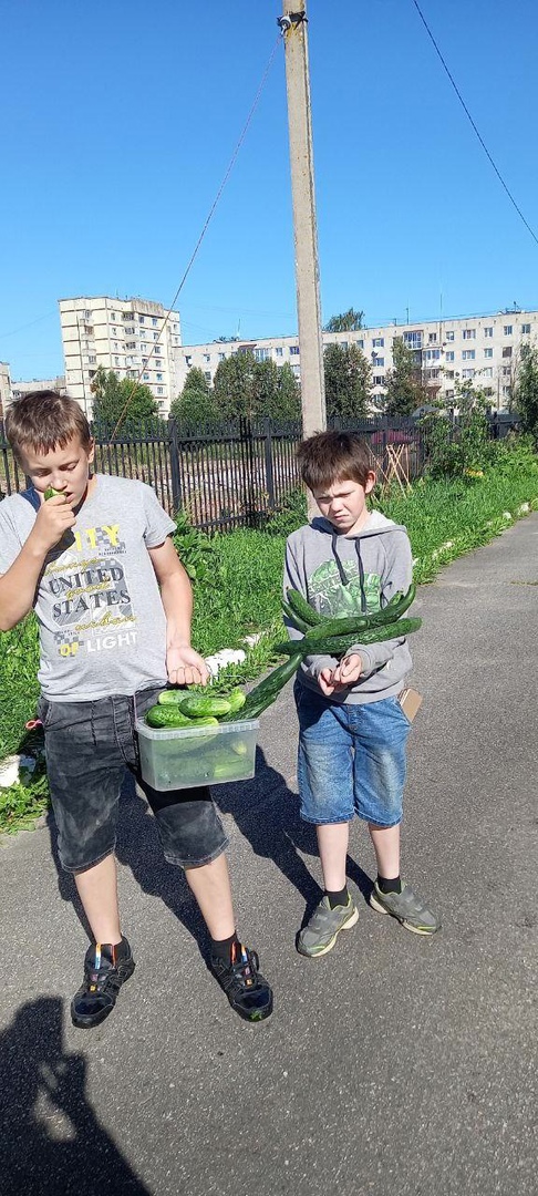 Наш большой урожай! Кропотливо и старательно ребята высаживали растения, поливали, пропалывали, обрабатывали, выполняли другие хозяйственные работы, дел было много. Вот и награда за труд!  #ГБУЛОНикольскийресурсныйцентр