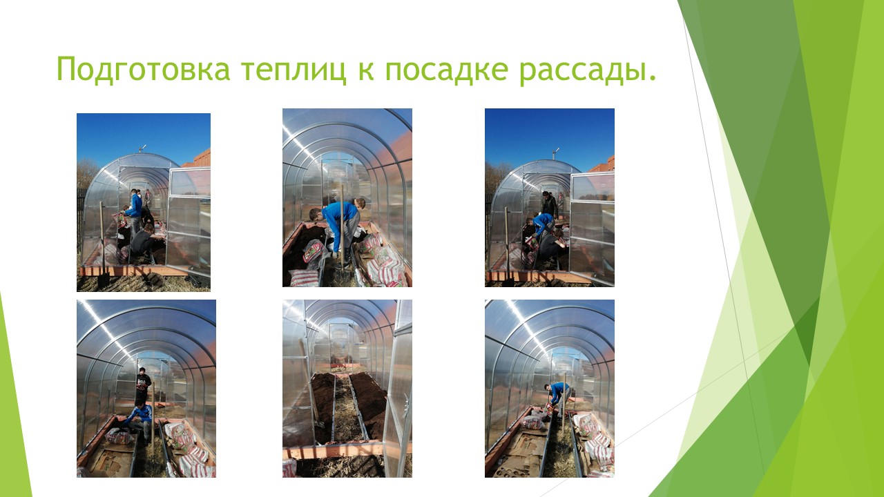 Что посеешь, то и пожнёшь