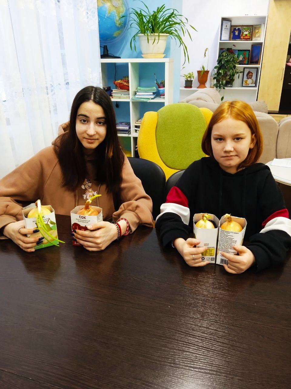 Огород на подоконнике