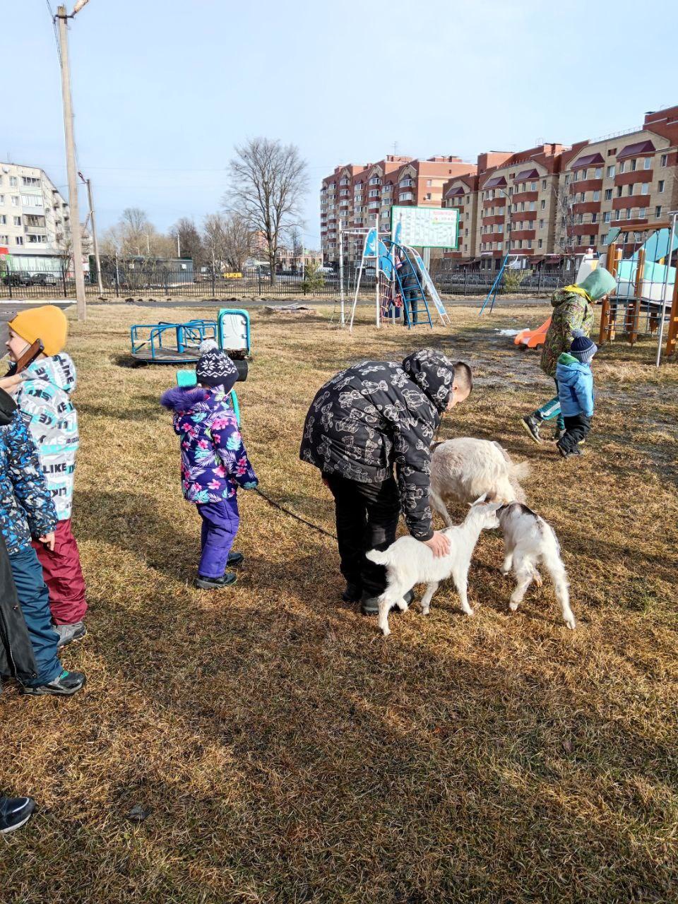 К нам в гости приехала семейная ферма "Терем-ОК"
