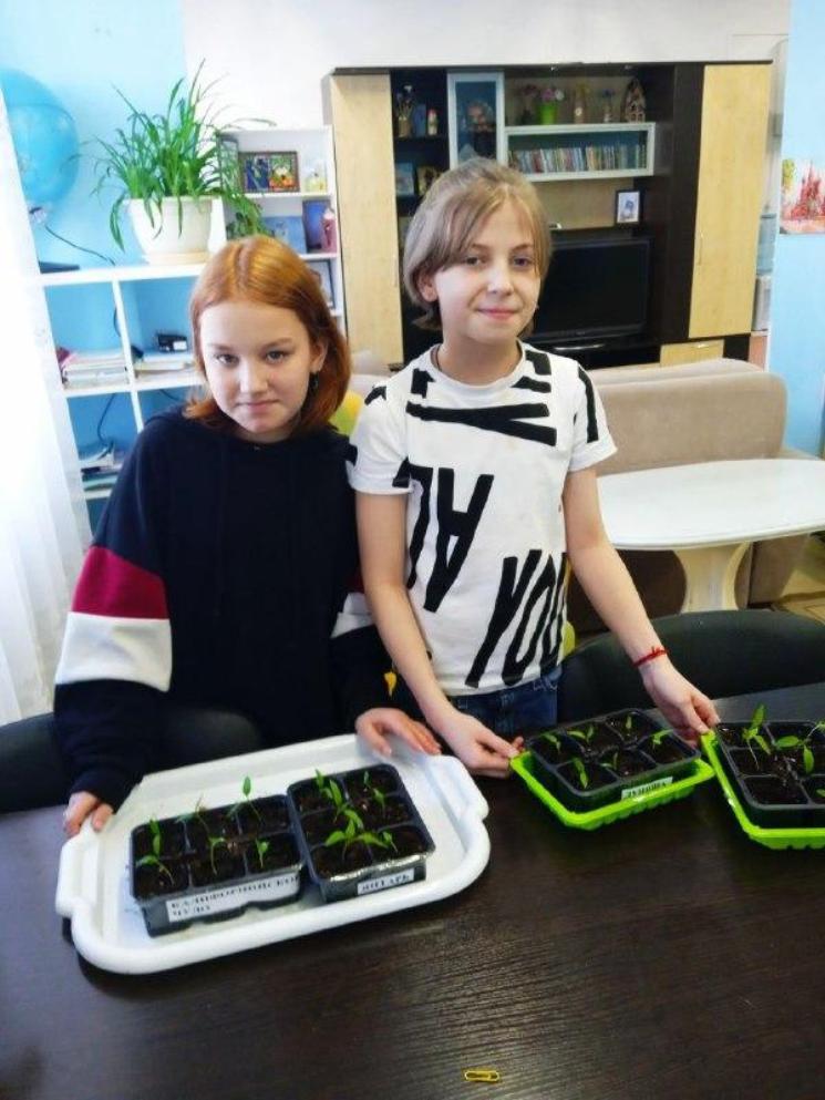 Как получить экологически чистый продукт - вырастить его самому.