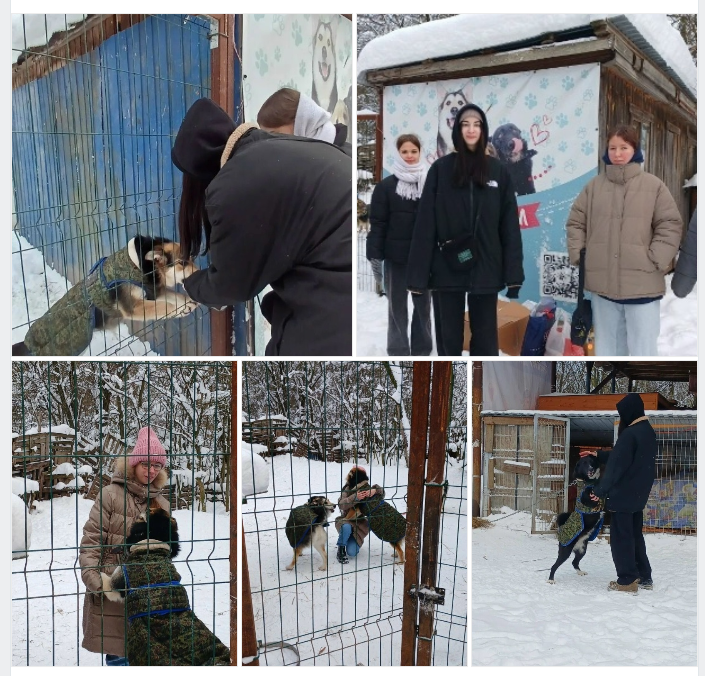 Воспитанники из стажировочной квартиры продолжают свою волонтерскую деятельность.