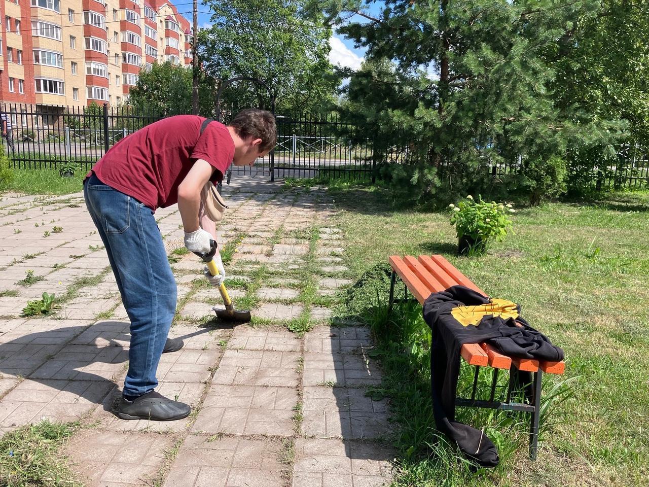 «Трудовой десант» «Трудовой десант»