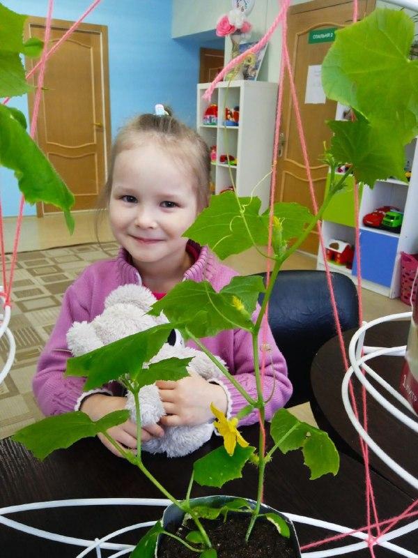 Как получить экологически чистый продукт - вырастить его самому.
