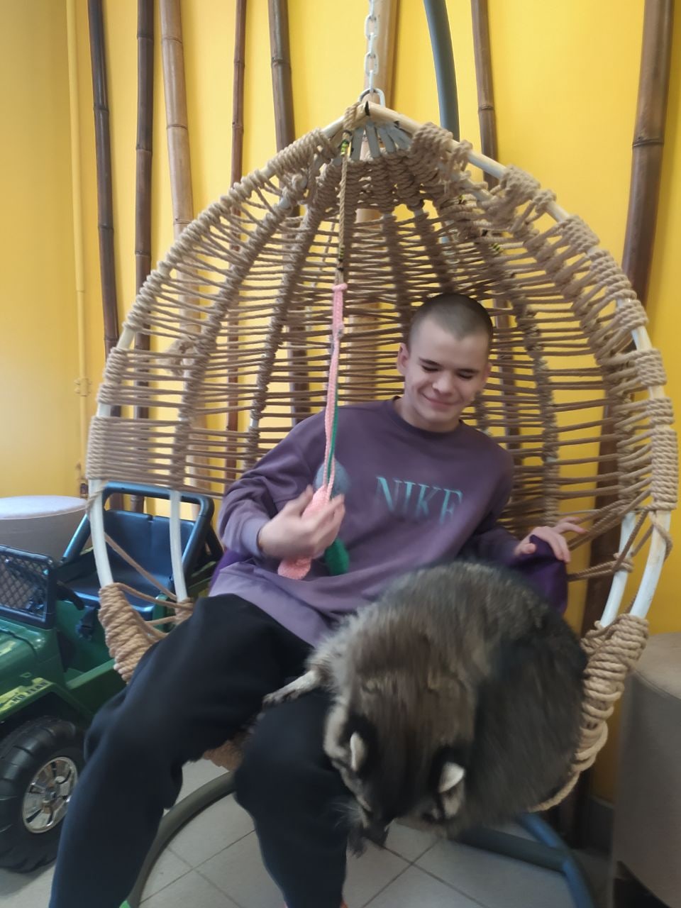 Поедка в "Енотовиль"