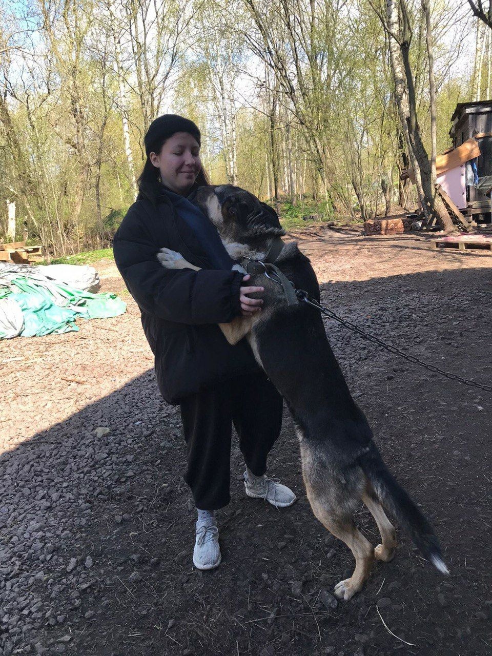 Ребята из стажировочной квартиры посетили приют для собак РОО "Подари дом".