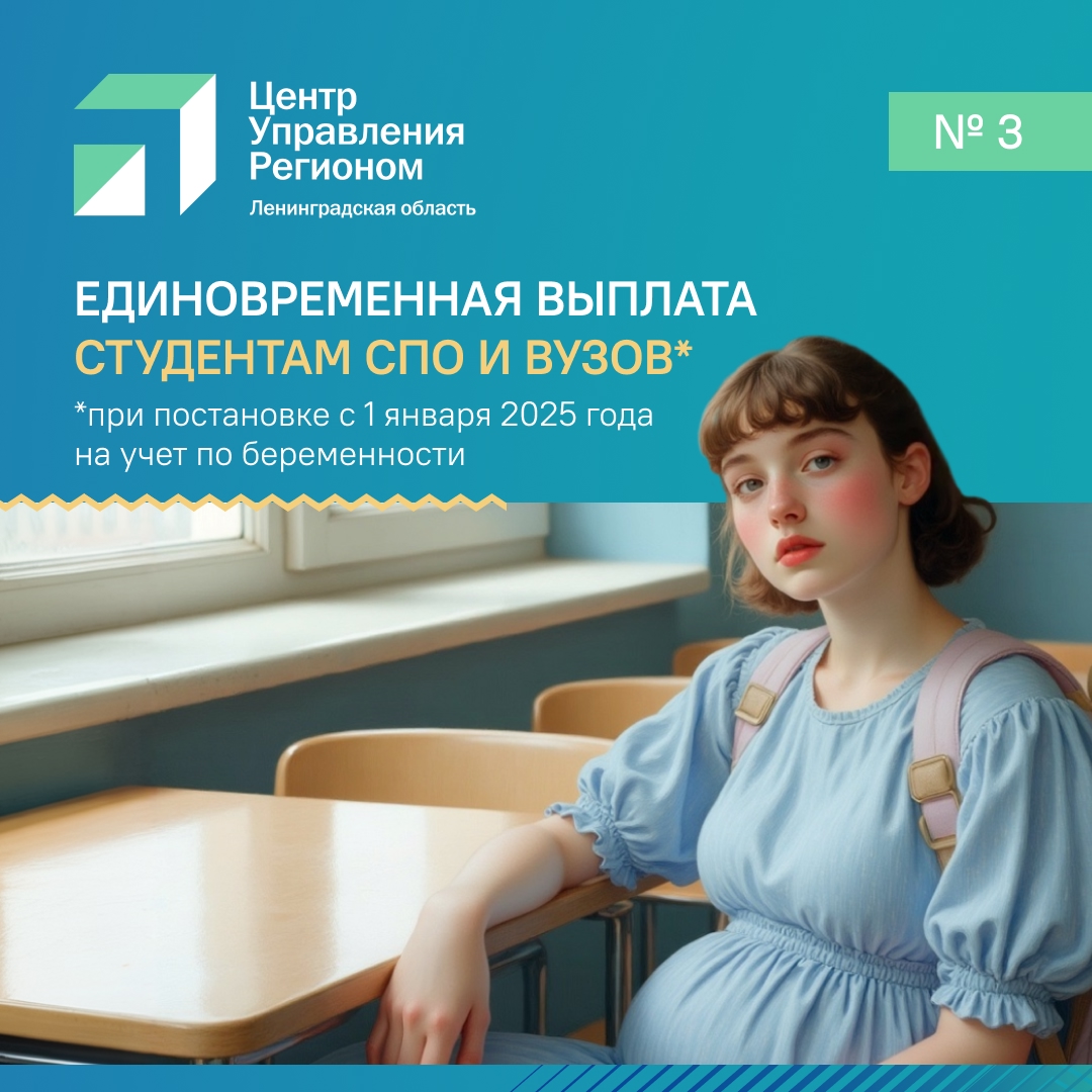 В Ленинградской области действуют меры социальной поддержки семей — как федеральные, так и региональные. 