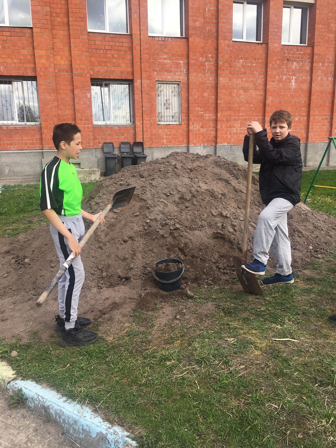 Рассаду посадили. Ждём урожай 